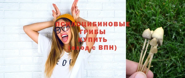 стаф Бугульма