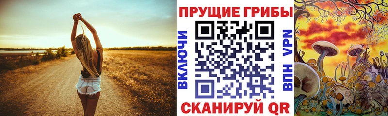 Галлюциногенные грибы прущие грибы  где купить наркоту  mega сайт  Салават 